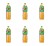 image-editor%2Fmultipack%2F1777034771913-r4198-c1-x6.png