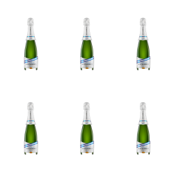 1773270459436-4343-2-x6-lsr13s.png