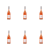 1773270493523-4384-2-x6-zzdk58.png