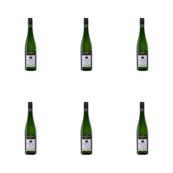 1773270507015-4410-2-x6-k4cvu8.png