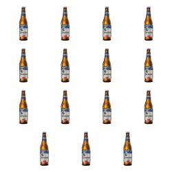 1773270588538-4501-2-x15-yavgco.png