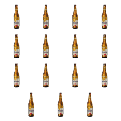 1773270591493-4505-2-x15-i1smrk.png