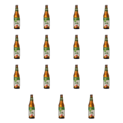 1773270593076-4508-2-x15-diezm8.png