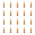 1773270593568-4509-2-x20-vjlcx.png