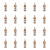 1773270596625-4515-2-x20-cjb23n.png