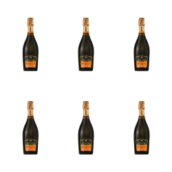 1773270978119-5035-2-x6-mtcsr5.png