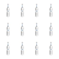 1773270982473-5044-2-x12-0denue.png