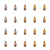 1773271044620-5146-2-x20-pwvfd.png