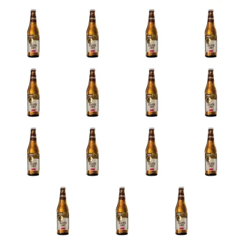 1773271049116-5155-2-x15-6ygz7mb.png