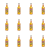 1773271056526-5167-2-x12-iwym2.png
