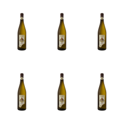 1773271069225-5188-2-x6-y54smo.png
