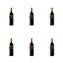 1773271107934-5231-2-x6-nkduyi.png
