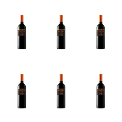 1773271108765-5233-2-x6-v5x5z.png