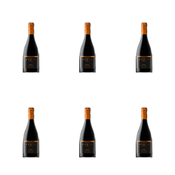 1773271109746-5235-2-x6-ctp2hn.png