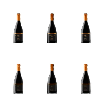 1773271109746-5235-2-x6-ctp2hn.png