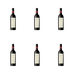 1773271114304-5241-2-x6-hoder7.png
