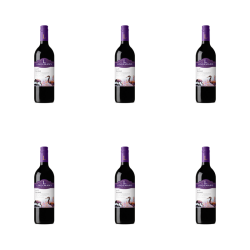 1773271115748-5244-2-x6-3zlebh.png