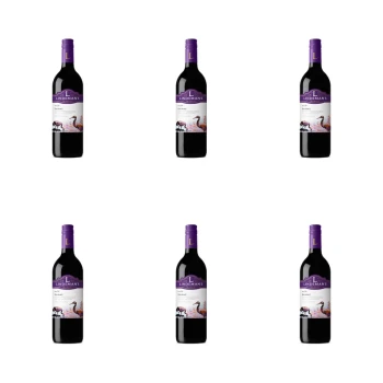1773271115748-5244-2-x6-3zlebh.png
