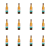 1773271156813-5293-2-x12-kq81dv.png