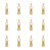 1773271183077-5333-2-x12-lppvl.png