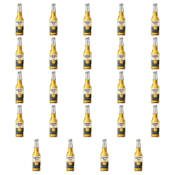 1773271197616-5356-2-x24-fzmuy.png