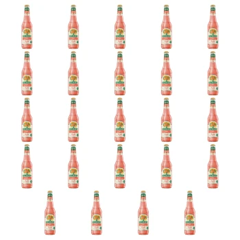 1773271237360-5406-2-x24-ha48xl.png