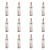 1773271367142-5561-2-x12-ty5e8.png