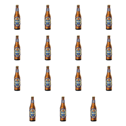 1773271448207-5672-2-x15-xy0ln8.png