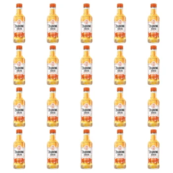 1773271519834-5767-2-x20-27h62.png