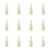 1773271843381-6162-2-x12-wy009m.png