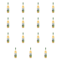 1773271853615-6178-2-x15-4odyl.png