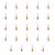 1773271870939-6203-2-x24-9pil2.png