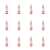 1773271940917-6290-2-x12-ir8opj.png