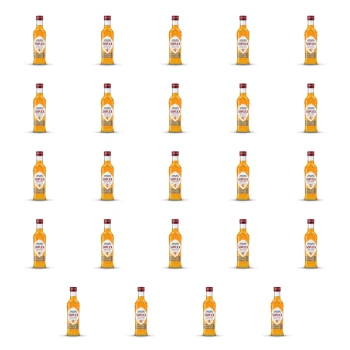 1773272587885-7150-2-x24-sq1van.png