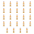 1773272587885-7150-2-x24-sq1van.png