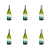 1773272596377-7167-2-x6-o24dsc.png