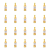 1773272699811-7294-2-x20-zerid.png