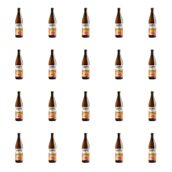 1773272702758-7298-2-x20-mjebxdd.png