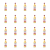 1773272705864-7302-2-x20-tc9y8.png