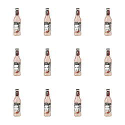 1773272731074-7339-2-x12-pbv1ii.png