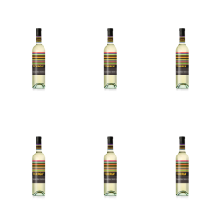 1773274207107-9470-2-x6-cj3ire.png