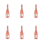 1773274549155-10002-2-x6-wasbt.png