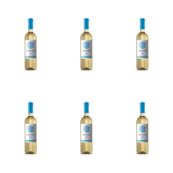 1773274553696-10007-2-x6-luprr.png