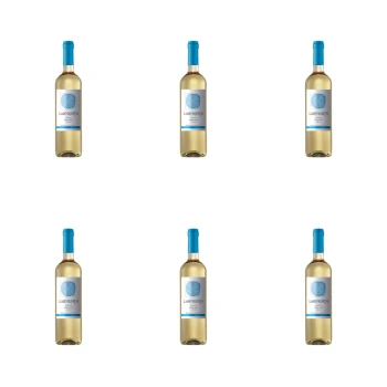1773274553696-10007-2-x6-luprr.png