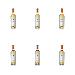 1773274555190-10010-2-x6-qkbuyv.png
