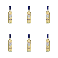 1773274556598-10013-2-x6-z6dh2pf.png