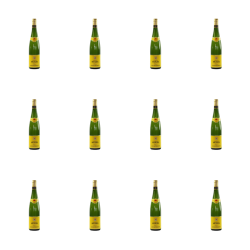 1773274558866-10017-2-x12-53nm1d.png