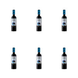 1773274580018-10052-2-x6-p4vh8v.png