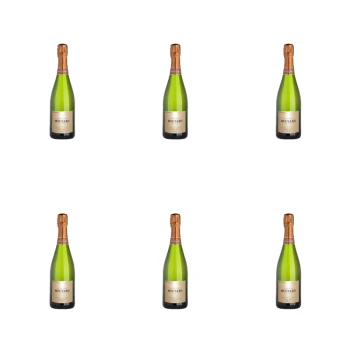 1773274605144-10090-2-x6-qd1x26.png