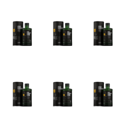 1773274613774-10102-2-x6-bb0c0i.png